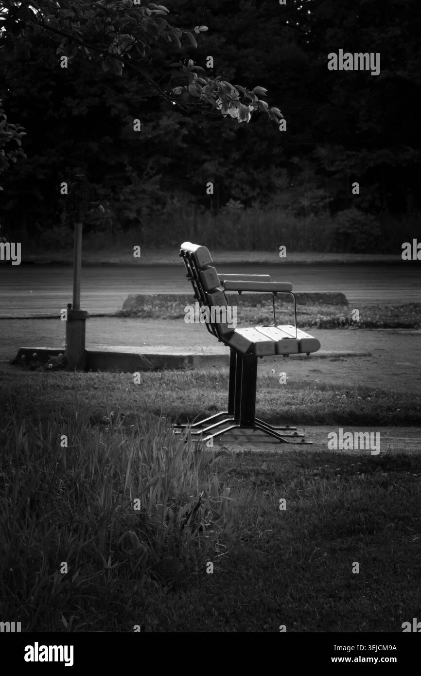 Photographie verticale en noir et blanc d'un banc de parc en métal vide debout seul dans un champ herbeux avec une canopée d'arbre sombre au-dessus Banque D'Images