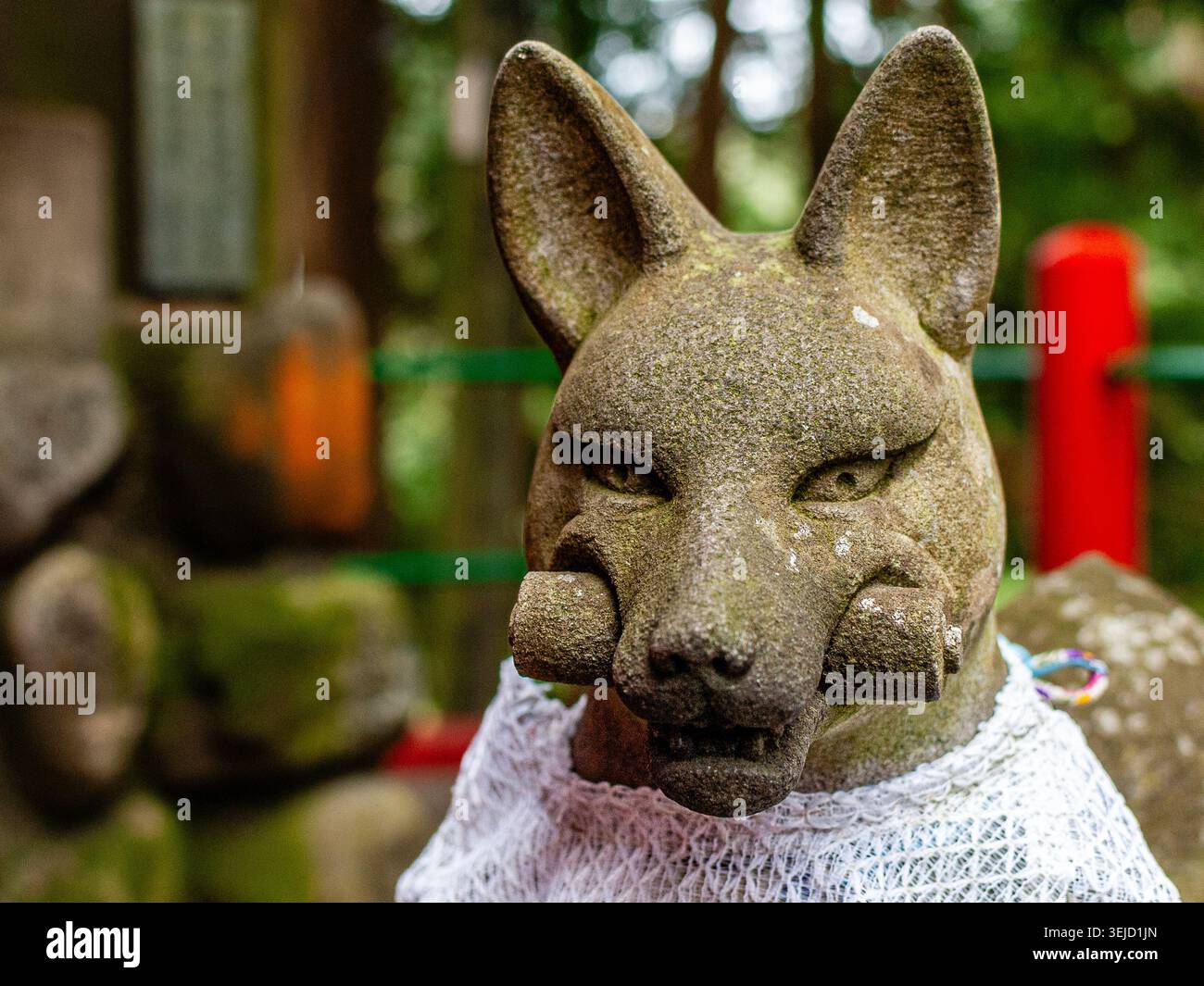 Statue de renard en pierre au sanctuaire Taikodani Inari à Tsuwano, Japon, représentant le messager sacré d’Inari, capturée avec une texture détaillée et la tradition Banque D'Images