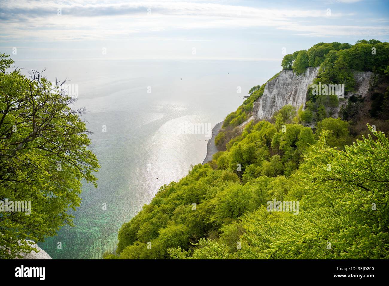 Vue sur les célèbres falaises de craie blanche et la mer Baltique depuis le pont suspendu dans le parc national de Jasmund sur l'île de Ruegen, en Allemagne Banque D'Images