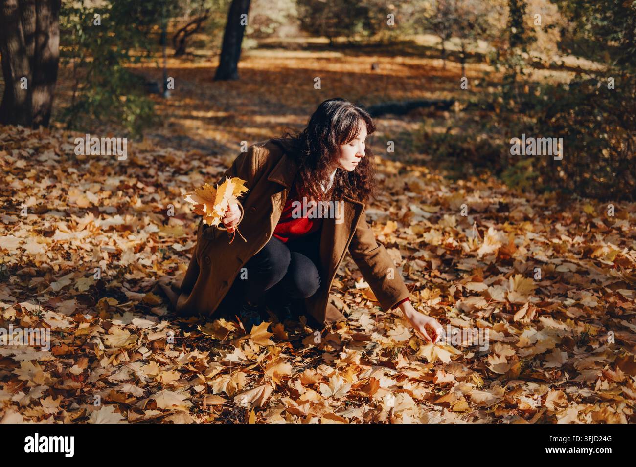 Femme accroupie sur le sol couvert de feuillage d'automne collectant les feuilles tombées dans la forêt. Débrancher du travail, routine de détox numérique, s'échapper Banque D'Images