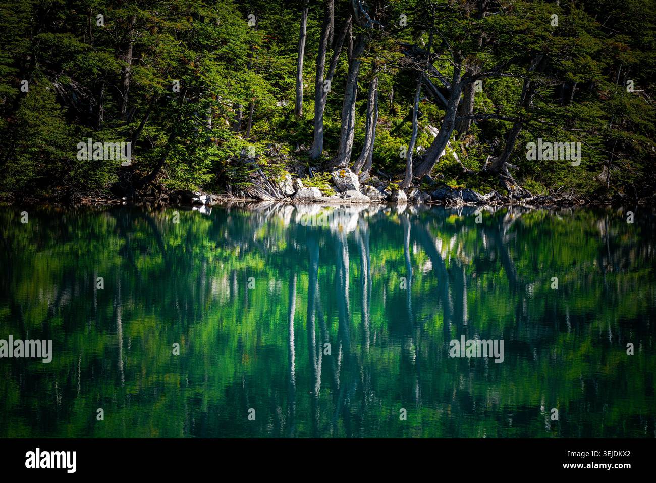 Encore lac reflète parfaitement une forêt luxuriante Banque D'Images