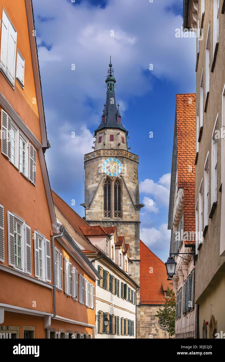 Collégiale Saint-George, Tubingen, Allemagne Banque D'Images