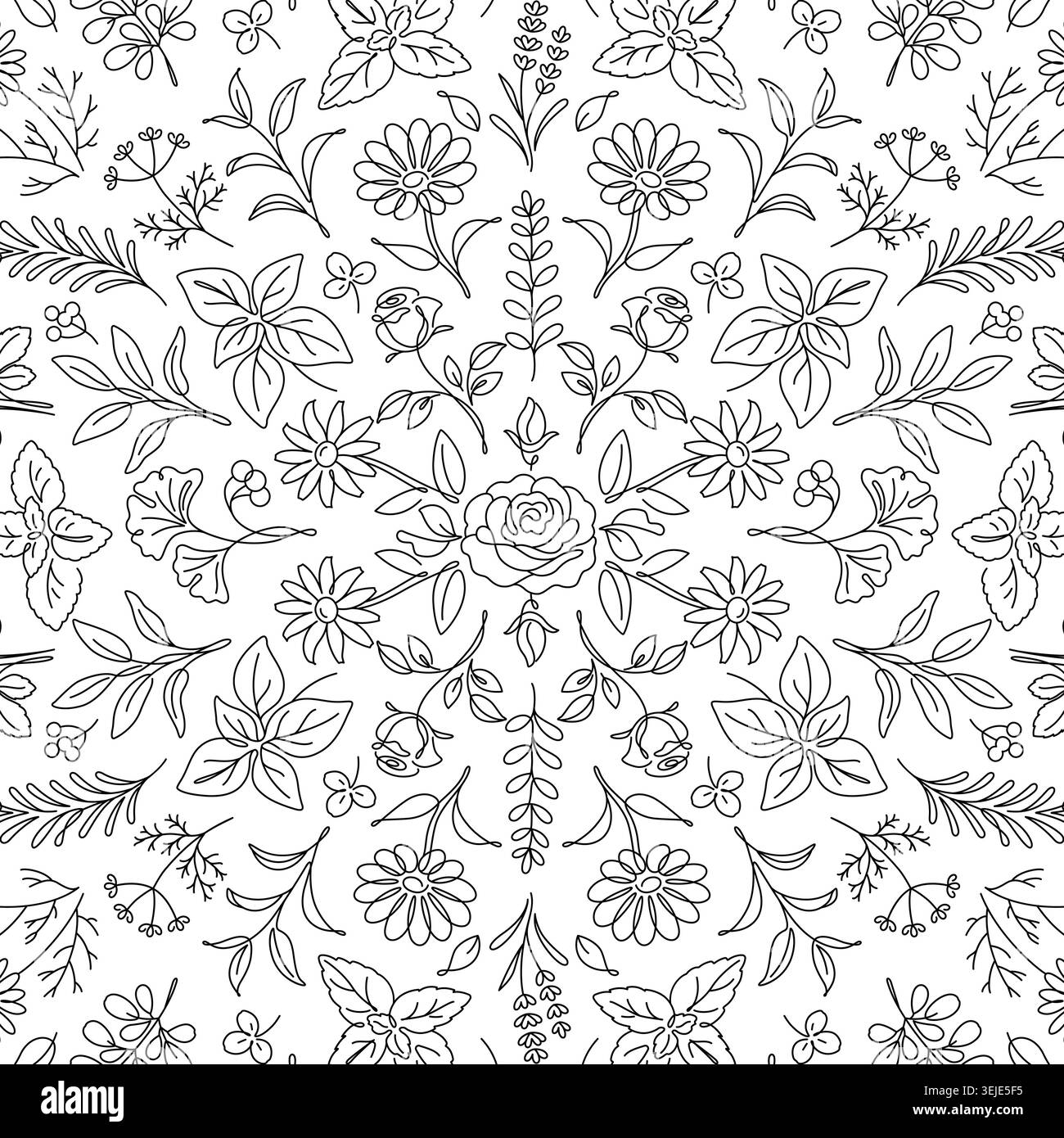 Motif sans couture motif floral botanique à motif d'art et de fines herbes Illustration de Vecteur