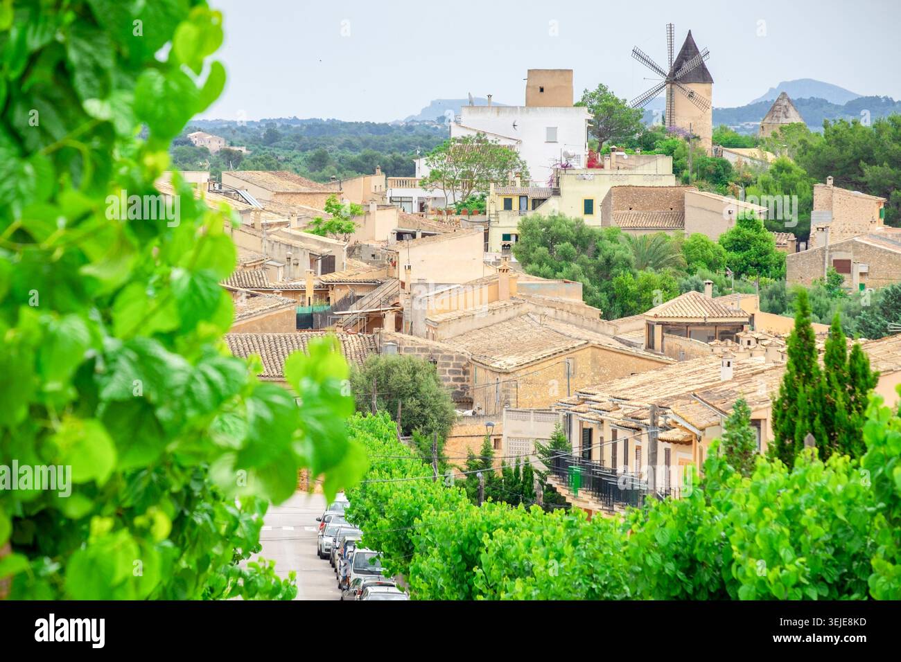 Village de Santa Eugenia, Majorque, Îles baléares, Espagne Banque D'Images