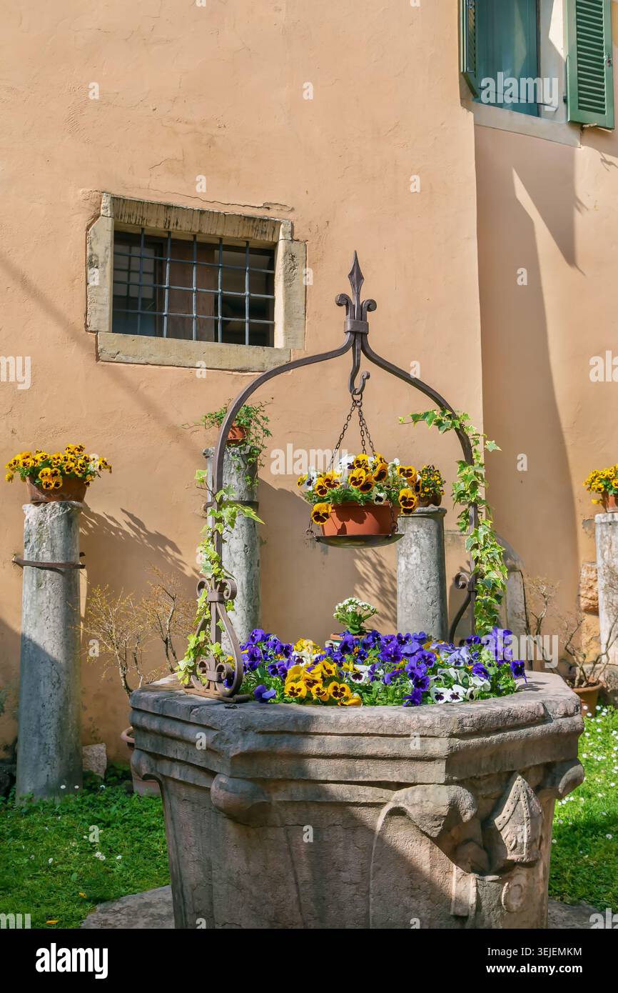 Parterre de fleurs, Vérone, Italie Banque D'Images