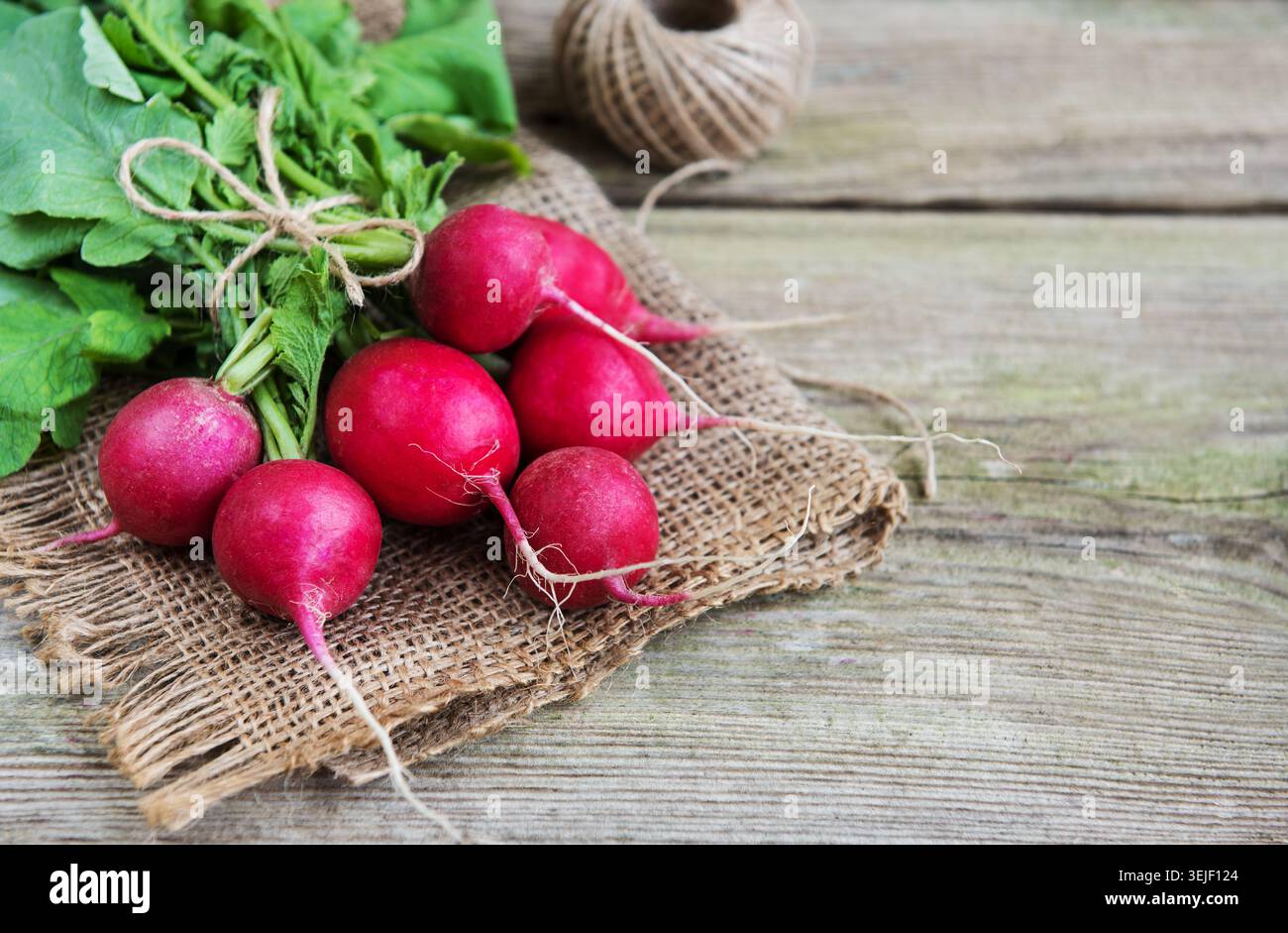 Radis violet frais Banque D'Images