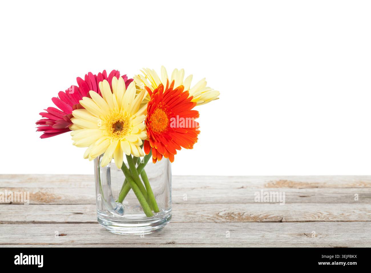 Fleurs colorées de gerbera sur table en bois Banque D'Images