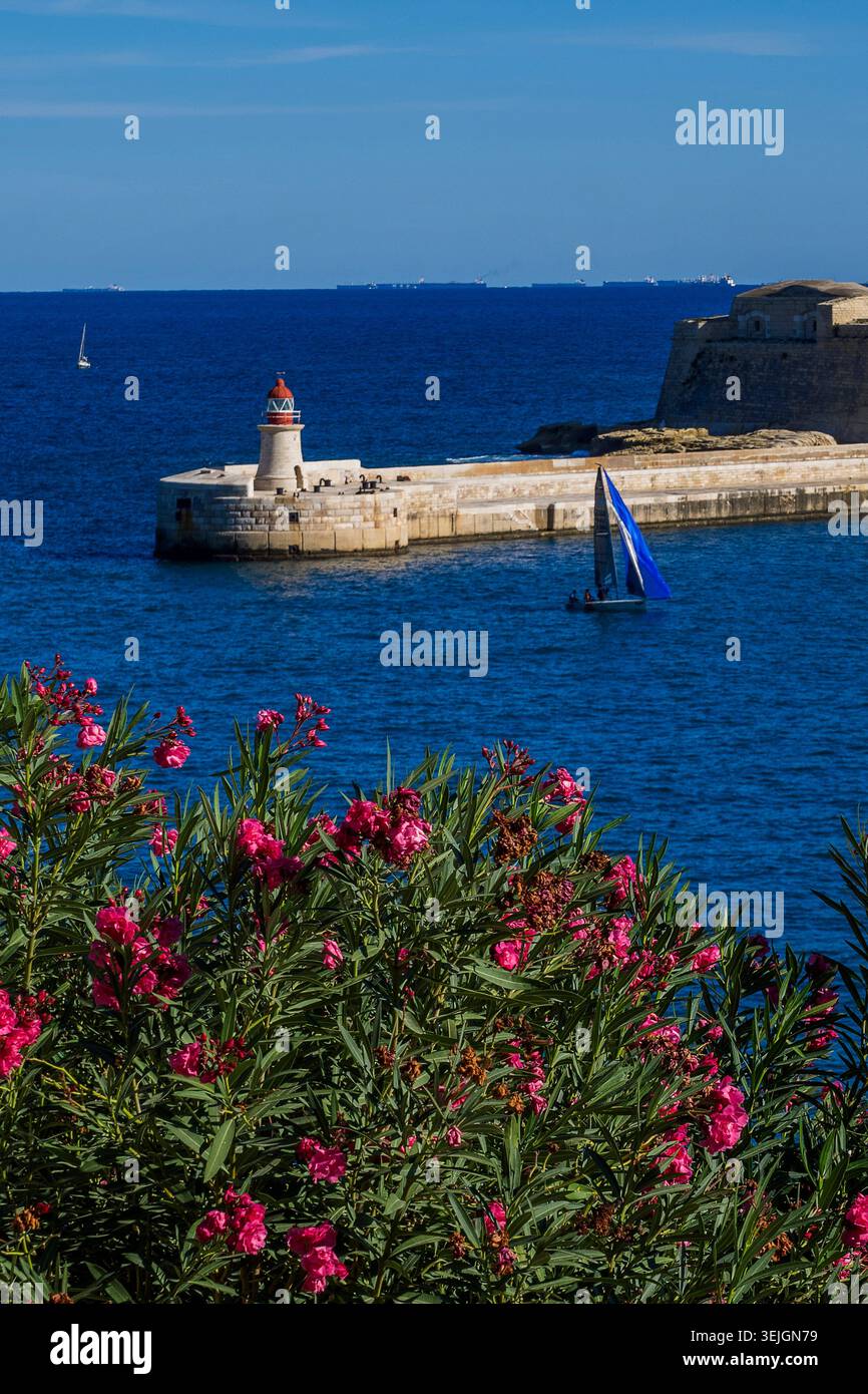 Malte - la Valette, Fort Ricasoli Banque D'Images