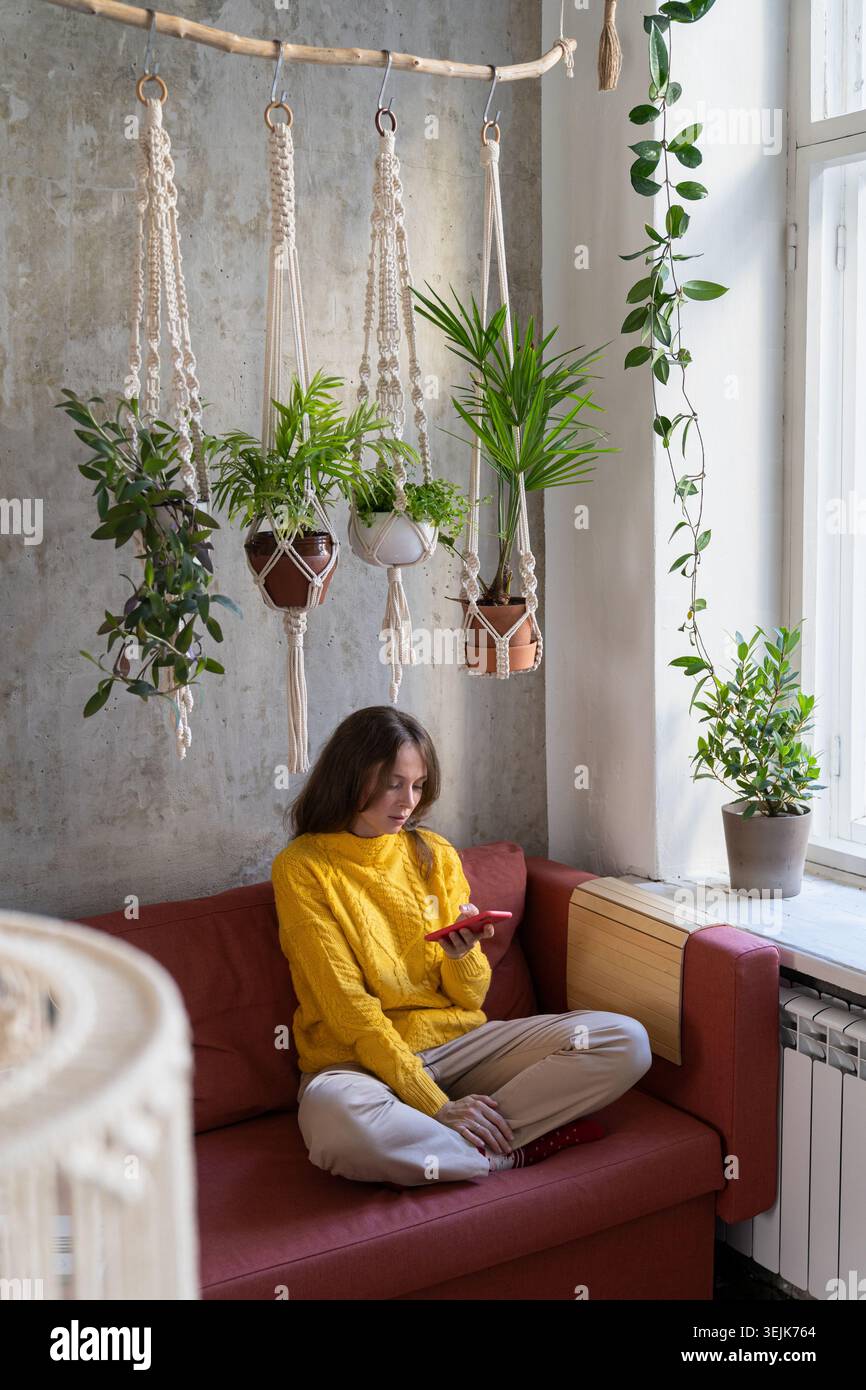 Femme freelance en pull jaune, au repos, assise sur un canapé sous un cintre de plante de macramé de coton avec des plantes d'intérieur, en utilisant mobile p Banque D'Images
