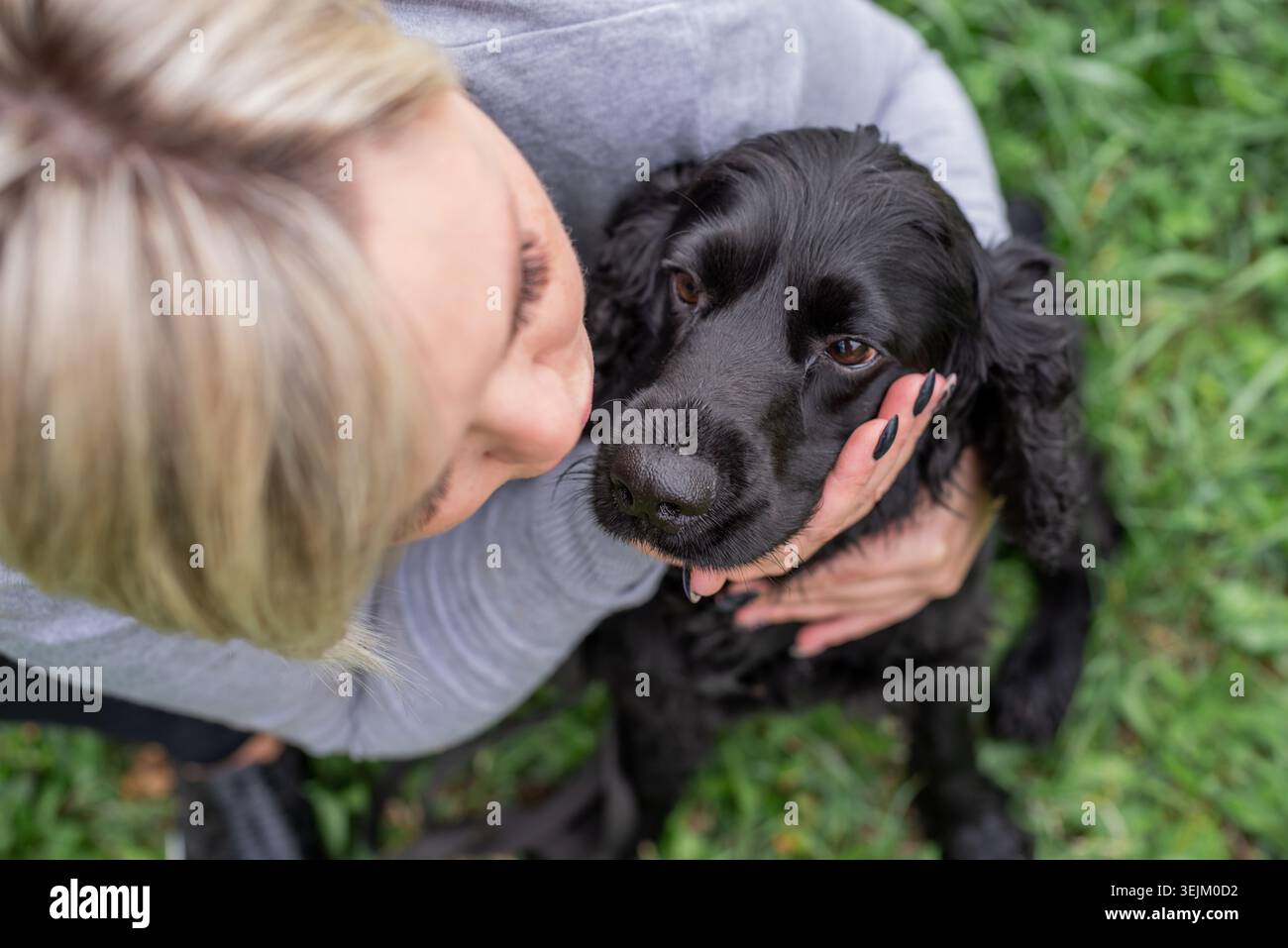 Black Cocker Spaniel avec son propriétaire dans le parc Banque D'Images