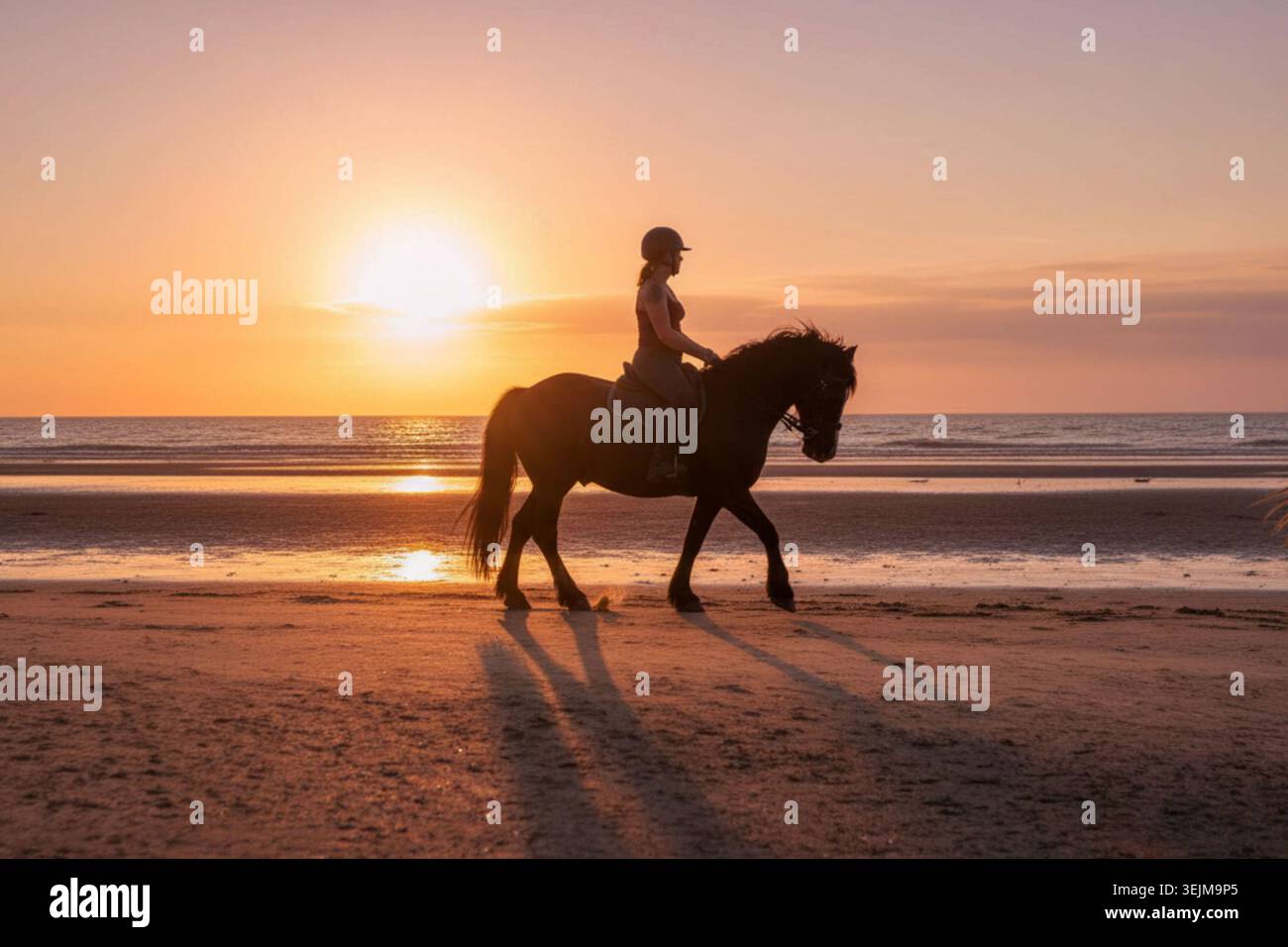 Silhouette vue de côté d'une femme équestre chevauchant un poney sombre le long d'une plage de sable humide au coucher du soleil, avec le soleil doré se reflétant sur les vagues de l'océan. Banque D'Images