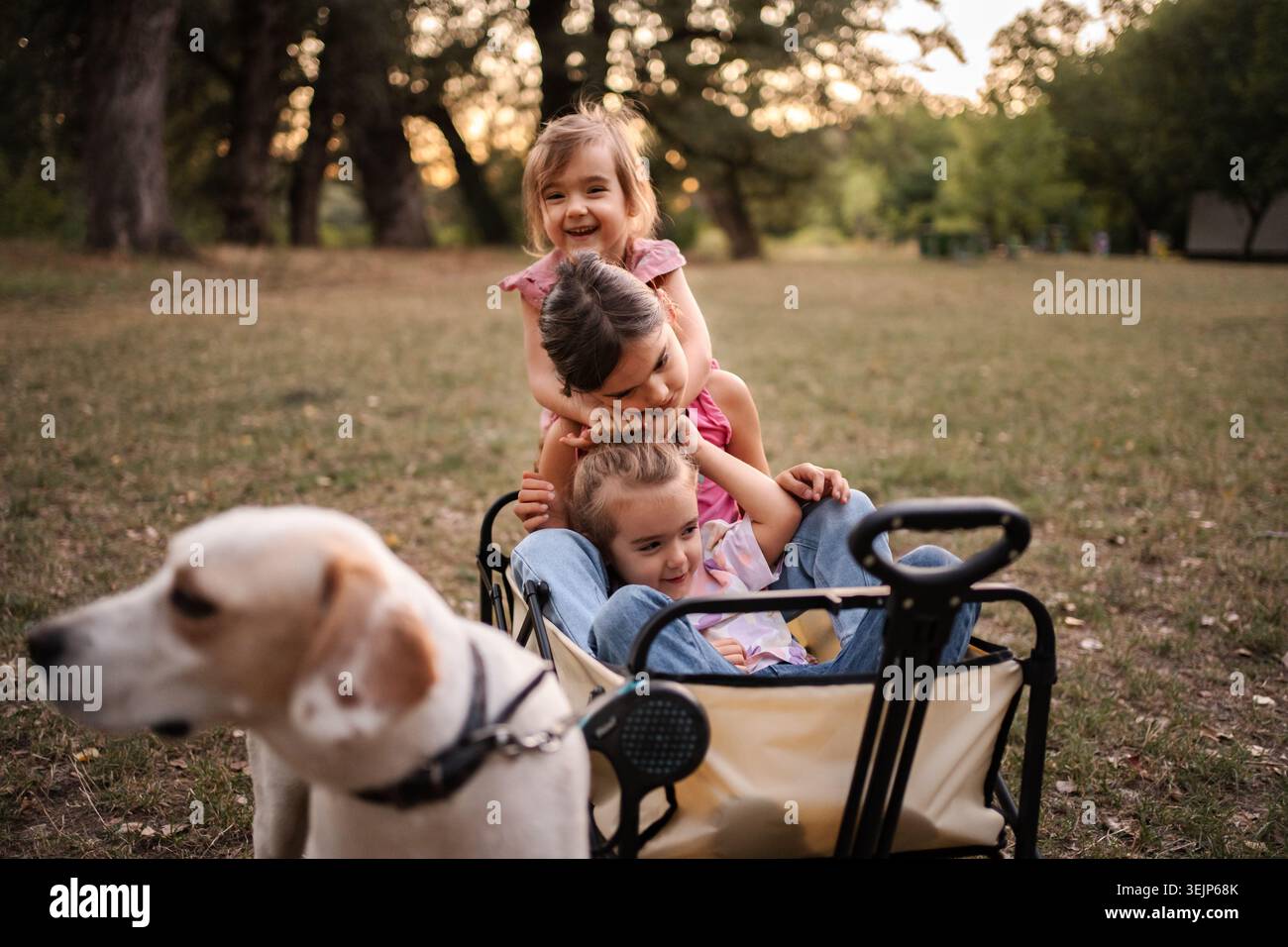 Enfants heureux jouant dans le wagon avec chien dans le parc Banque D'Images