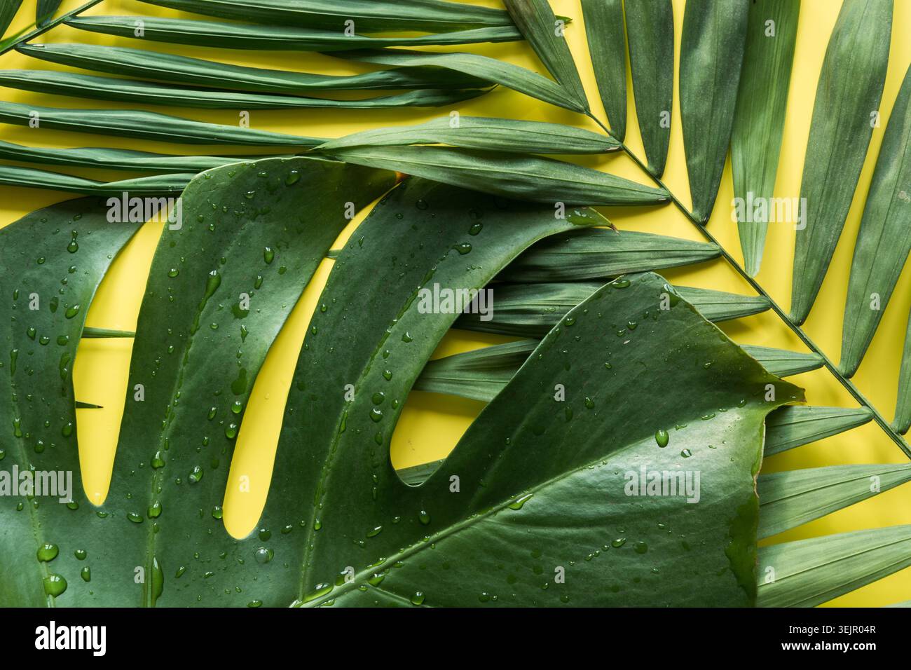 Motif tropical de palmiers et de feuilles de monstera sur jaune. Vue de dessus. Vacances d'été. Banque D'Images
