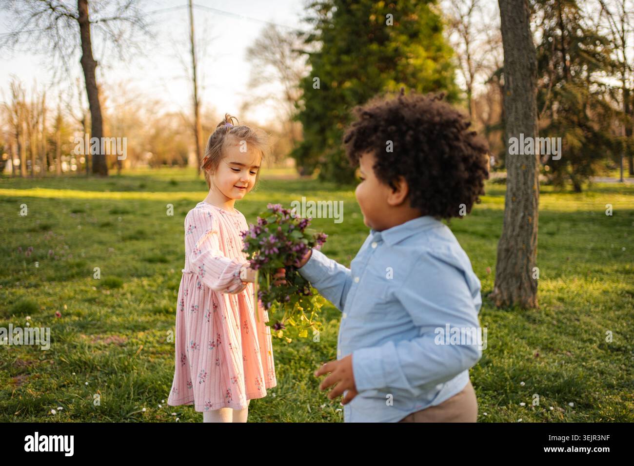 Garçon donnant des fleurs sauvages à la fille dans le parc Banque D'Images