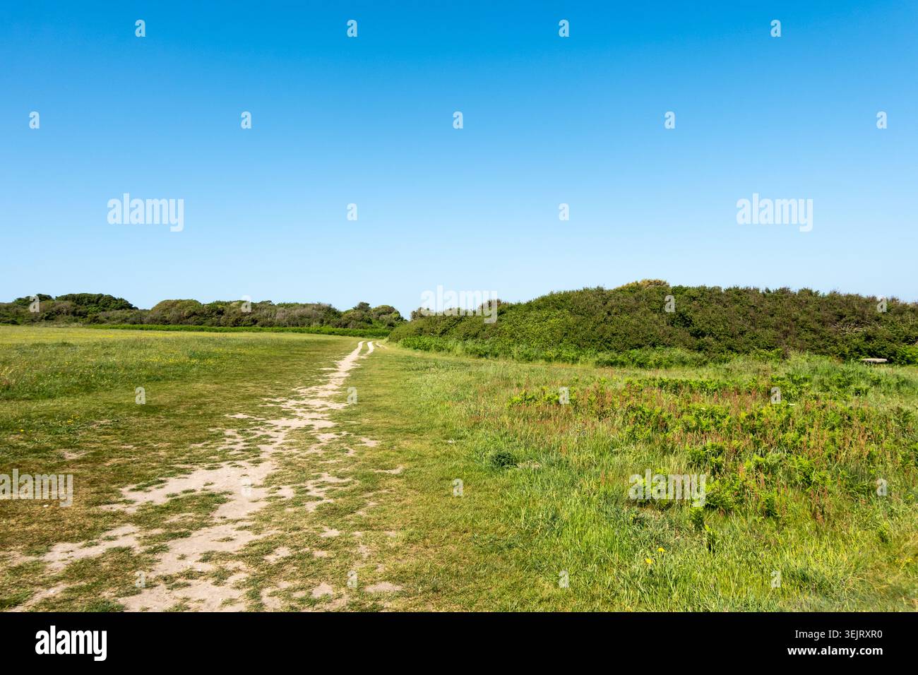 Le chemin de la côte vers Old Harry Rocks par une source chaude matinale, le 2026 mai. Dorset, Royaume-Uni Banque D'Images
