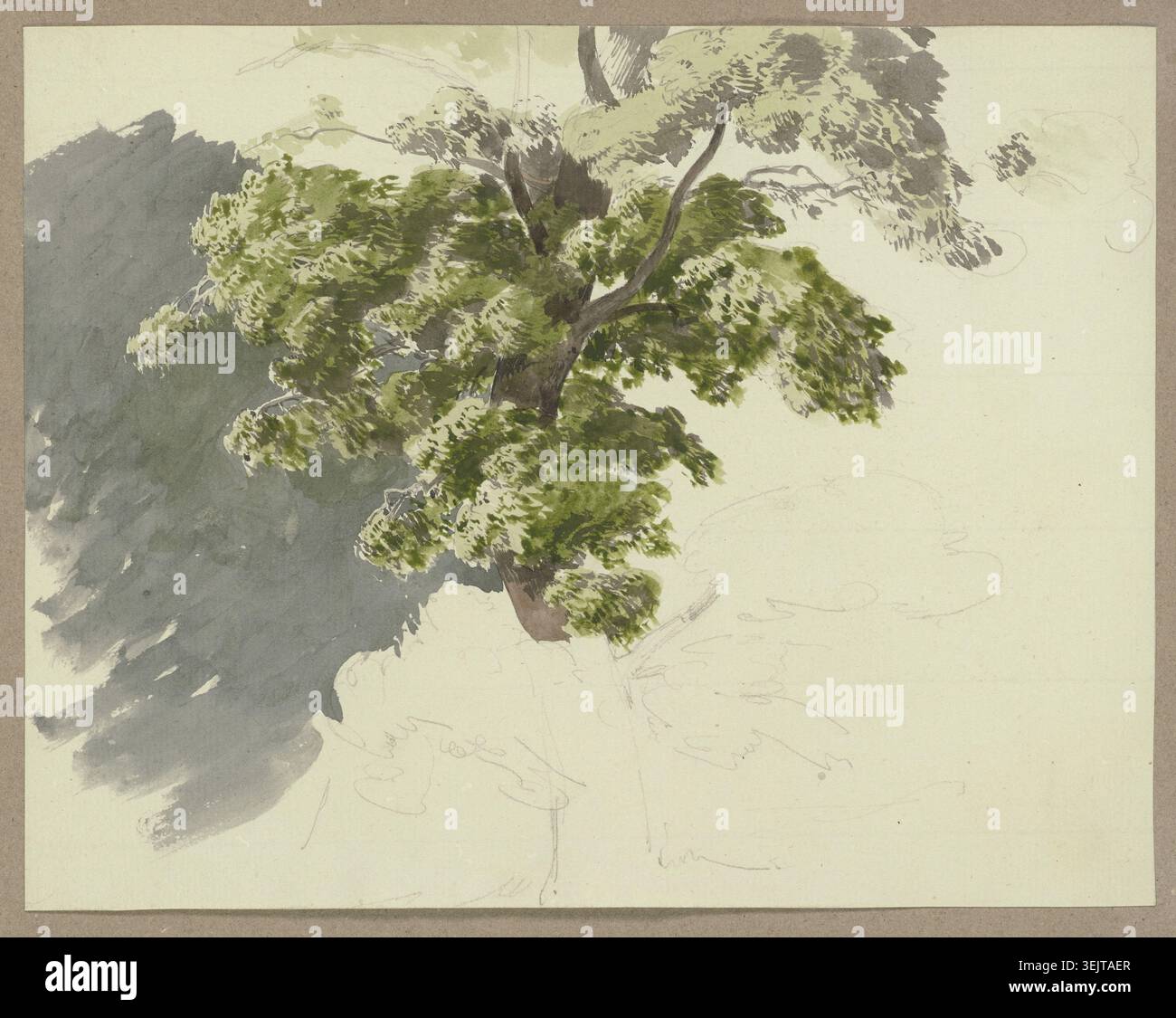 Arbre dans le vent, c1840-1890. Banque D'Images
