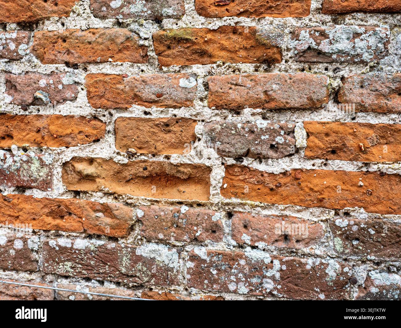Une section de mur de briques molles qui montre les trous ronds caractéristiques faits par la maçonnerie ou les abeilles de mortier Banque D'Images