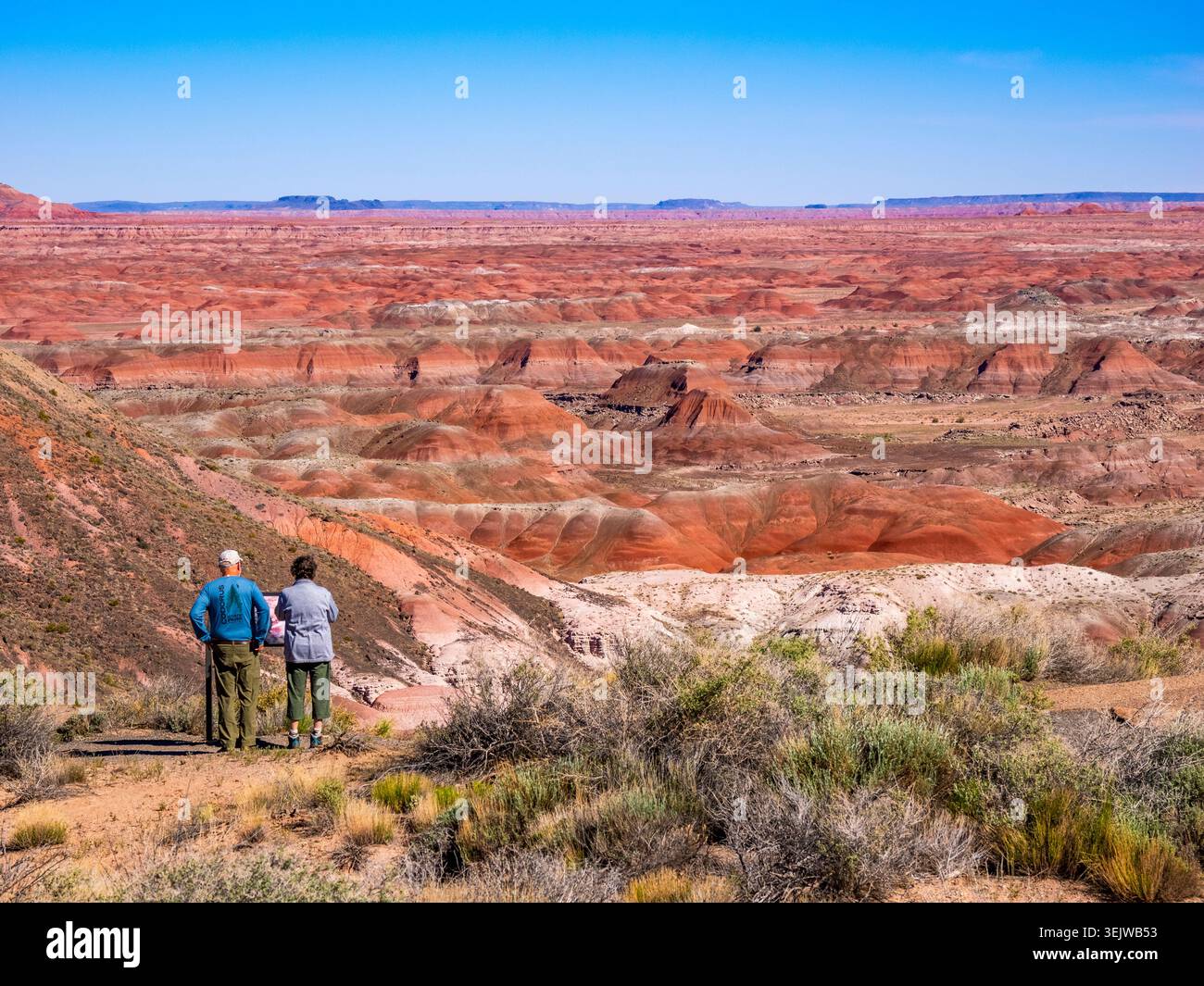 Vue de badlands colorés depuis Tawa point dans la section Painted Desert du parc national Petrified Forest en Arizona, États-Unis Banque D'Images