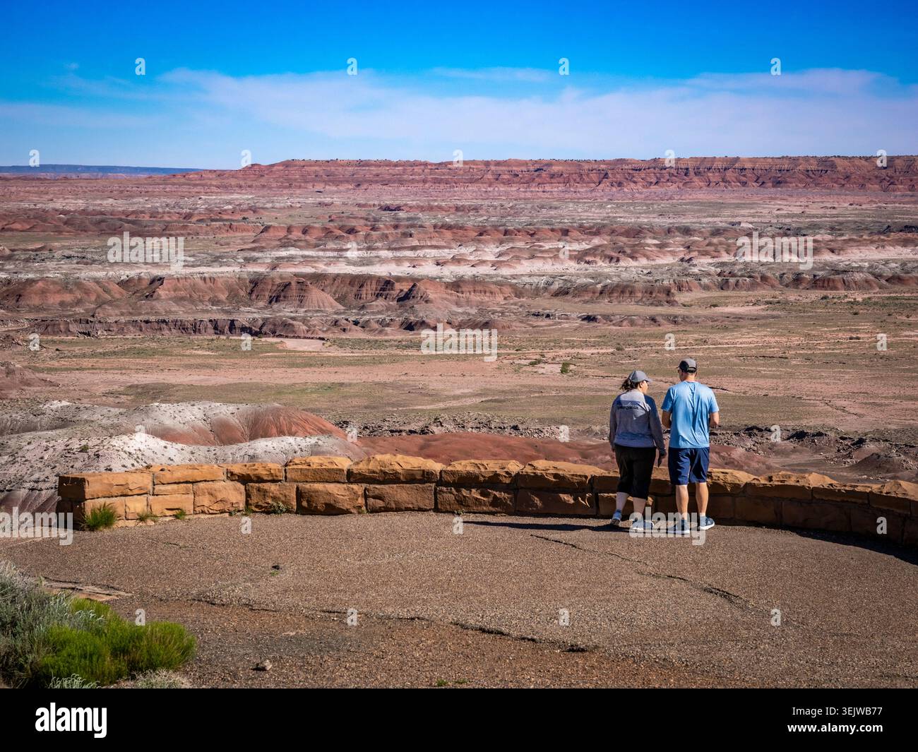 Vue de badlands colorés depuis Tawa point dans la section Painted Desert du parc national Petrified Forest en Arizona, États-Unis Banque D'Images