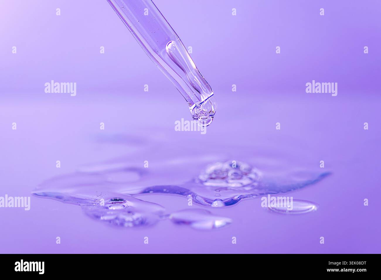 Goutte transparente de sérum cosmétique de pipette en verre sur fond violet. Concept hydratation soin, soin beauté, ingrédient cosmétique, macro clos Banque D'Images