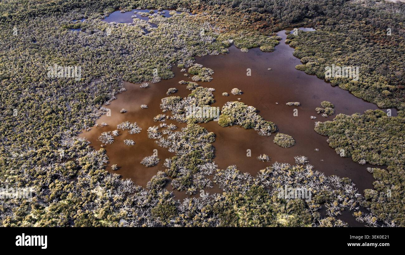 Cette superbe image aérienne capture une vaste zone humide regorgeant de vie et de verdure vibrante. Les motifs complexes de la voie navigable tissent th Banque D'Images
