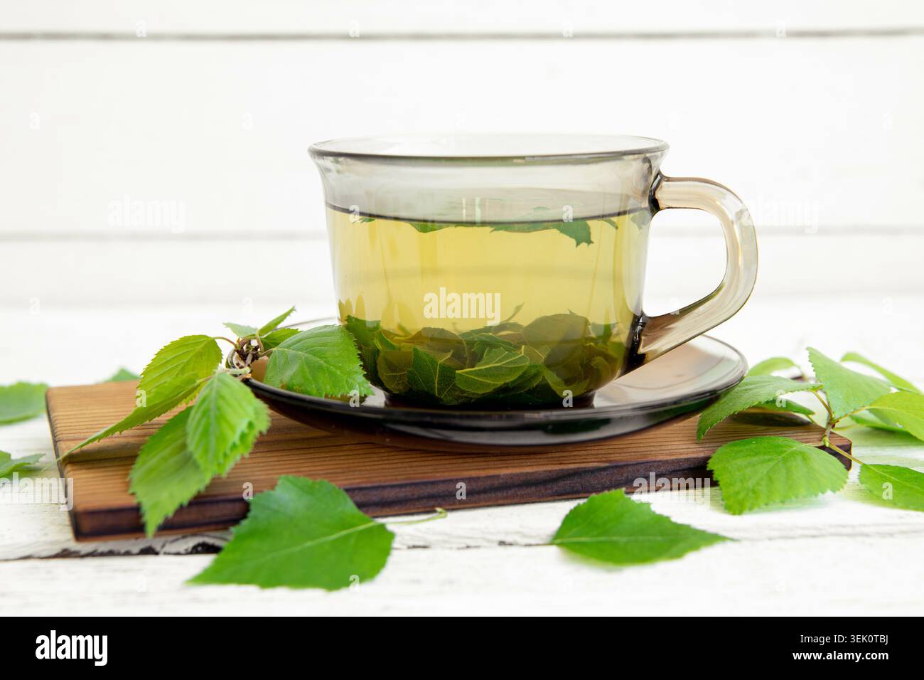 Thé de feuilles de bouleau, Betula servi dans une tasse en verre clair sur un fond de planche de bois blanc, avec des feuilles de bouleau fraîches et des branches pour la décoration. Banque D'Images