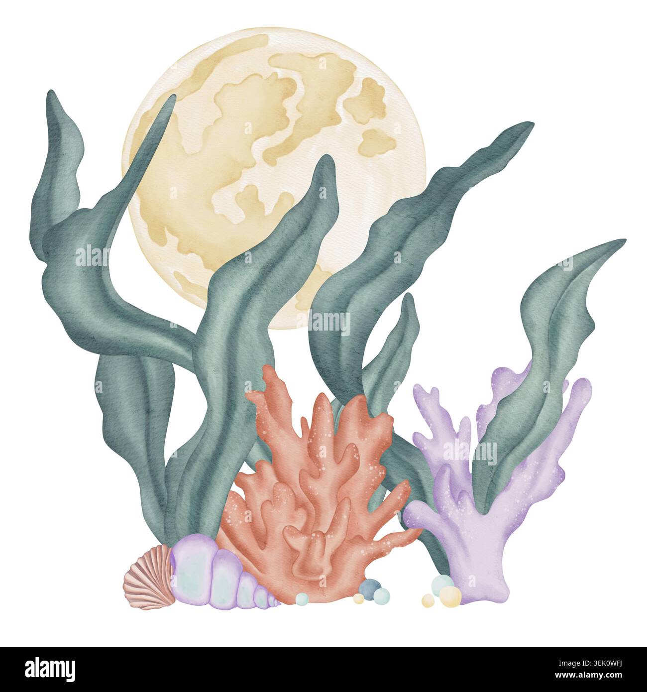 Une scène avec des algues, du corail, des coquillages, des bulles d'eau, et une grande pleine lune en arrière-plan. Cette illustration aquarelle fantaisie présente sous Banque D'Images