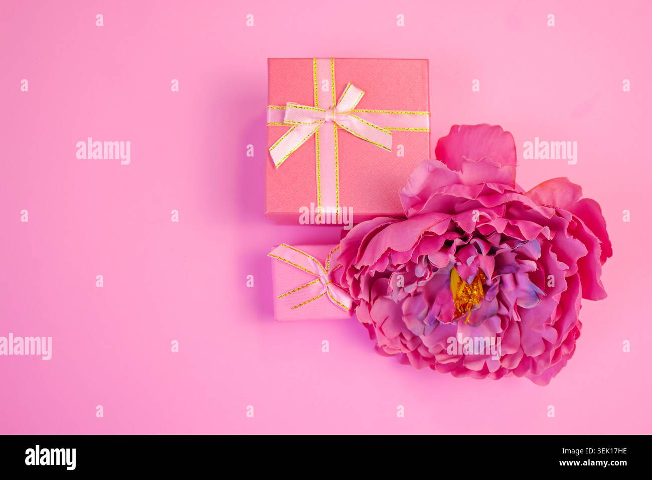 Un plat doux et élégant avec une pivoine rose éclatante associée à des coffrets cadeaux pastel, sur un fond rose harmonieux Banque D'Images