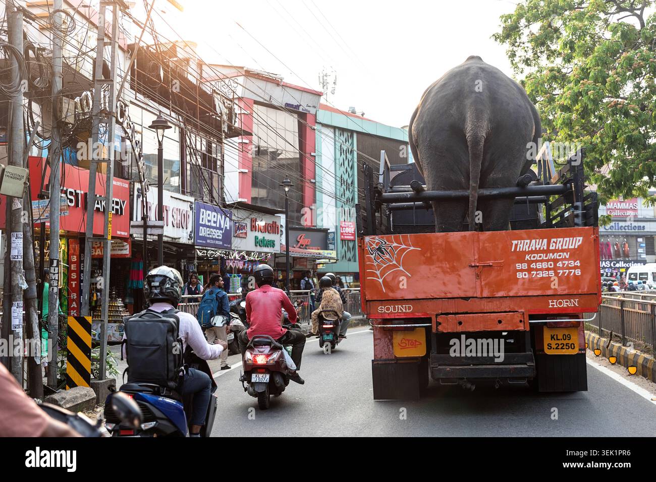 Camion transportant l'éléphant de vie à travers les rues animées de Kochi dans le Kerala en Inde Banque D'Images
