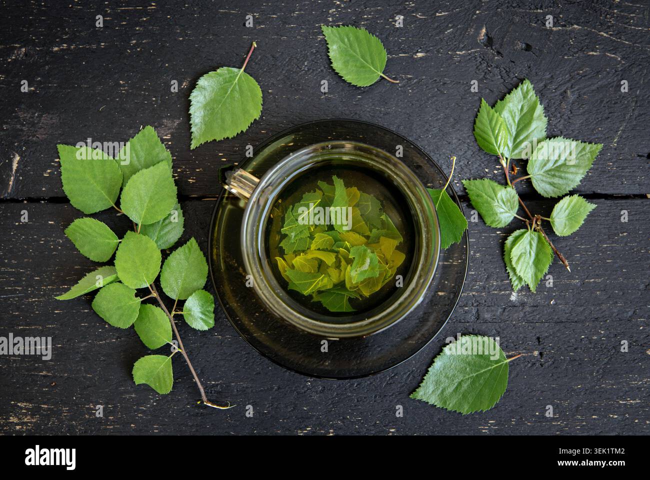 Au-dessus de la vue du thé de feuille d'arbre de bouleau dans une tasse en verre, Betula tisane médicinale dans une tasse claire. Fond de planche de bois de couleur noire, feuilles et branche. Banque D'Images