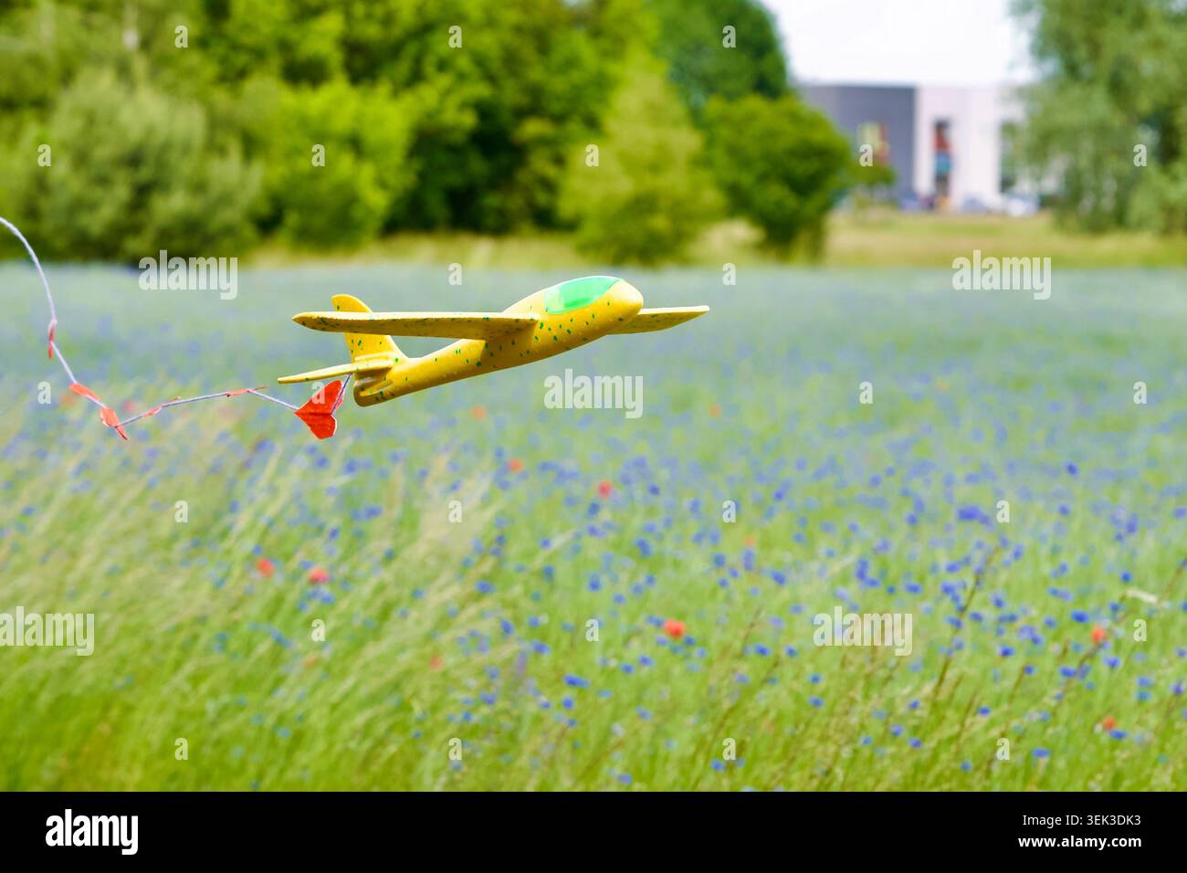 Un avion de planeur jouet en mousse jaune volant dans les airs, traînant une chaîne de petits coeurs en papier rouge. L'avion glisse au-dessus d'un beau meado vert d'été Banque D'Images