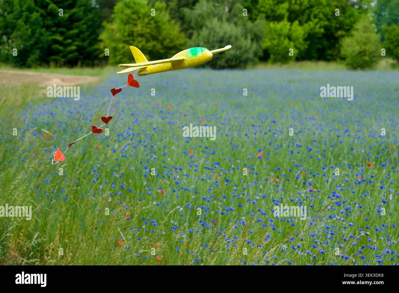 Un avion de planeur jouet en mousse jaune volant dans les airs, traînant une chaîne de petits coeurs en papier rouge. L'avion glisse au-dessus d'un beau meado vert d'été Banque D'Images