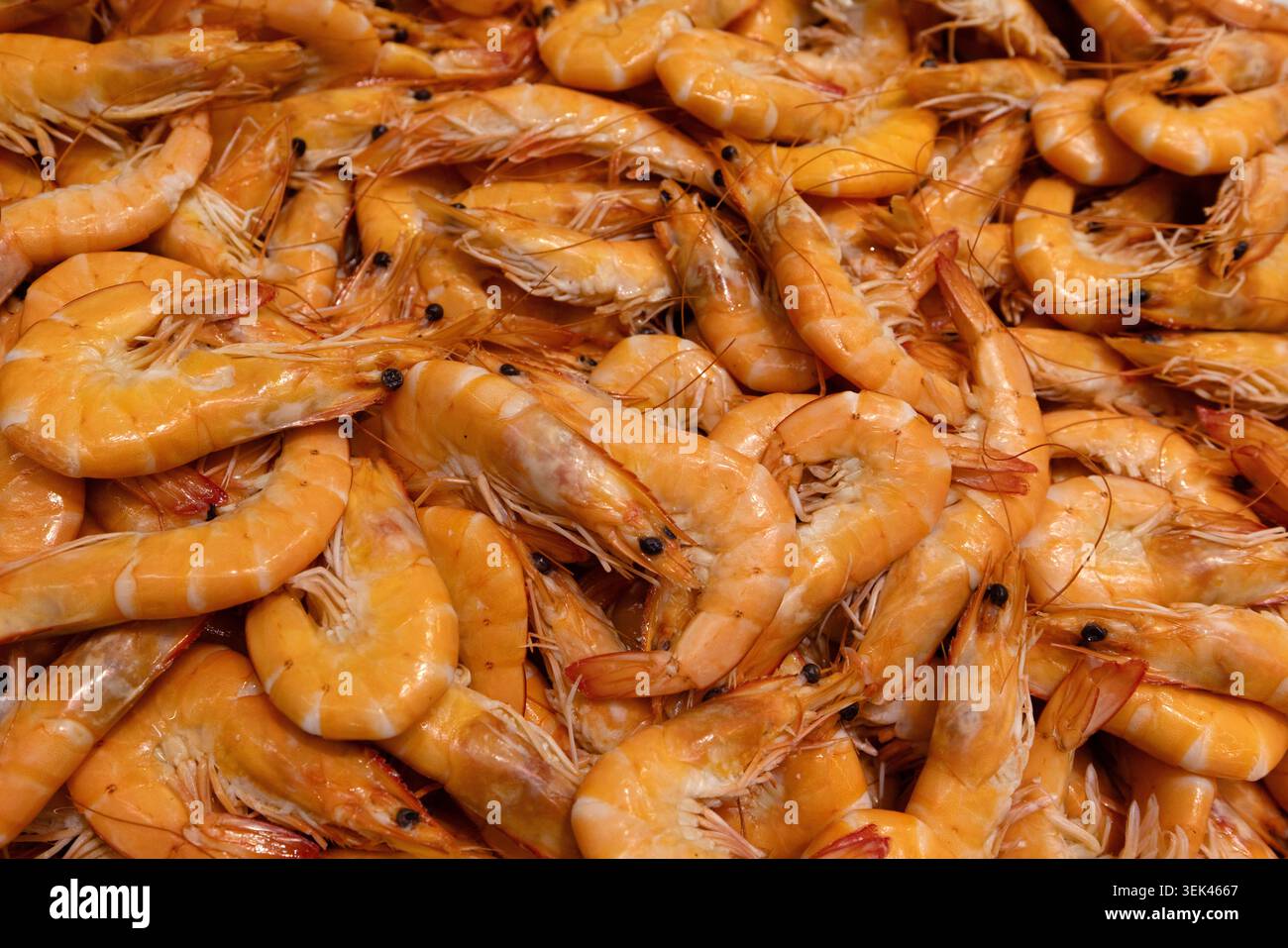Crevettes crues à vendre sur un marché français. Banque D'Images