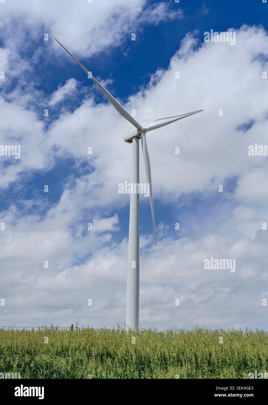Une éolienne dans un champ agricole dans le comté de Carroll, Iowa. Banque D'Images