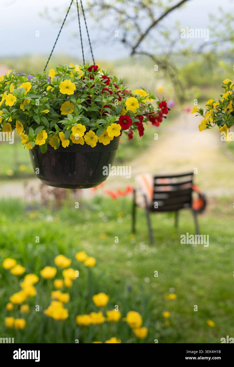 Vue extérieure du panier de fleurs suspendu avec fleurs jaunes et meubles de jardin en arrière-plan Banque D'Images