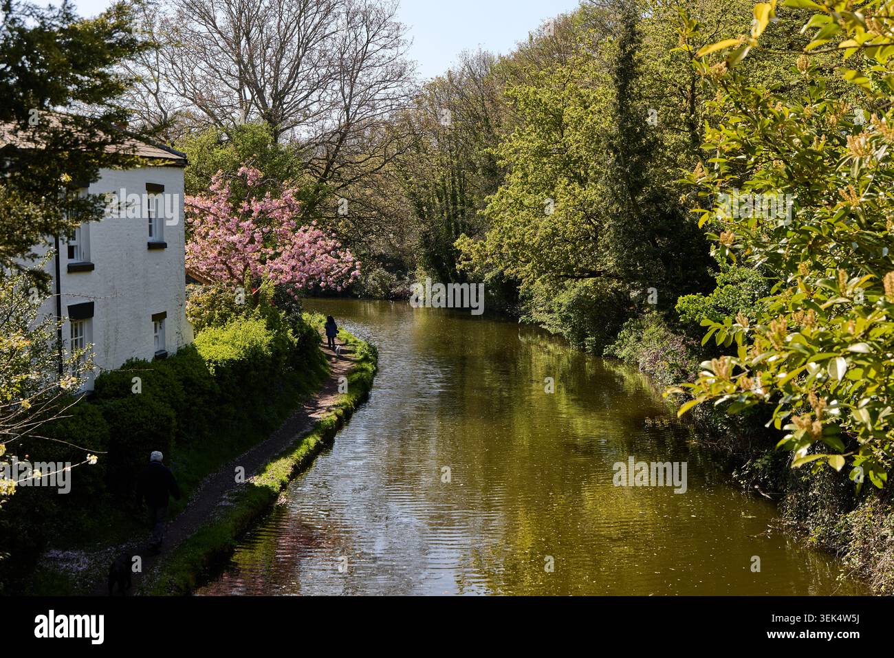 Village de Grappenhall dans l'arrondissement de Warrington dans le Cheshire. Canal Bridgewater photographié Banque D'Images