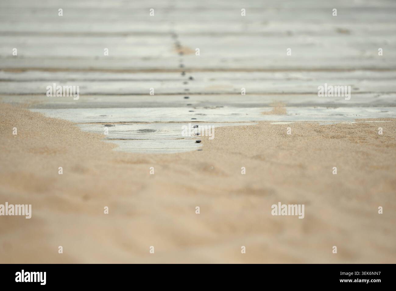 Gros plan de sable dérivant sur des planches de bois blanc altérées à la plage de Nouvelle-Écosse Banque D'Images