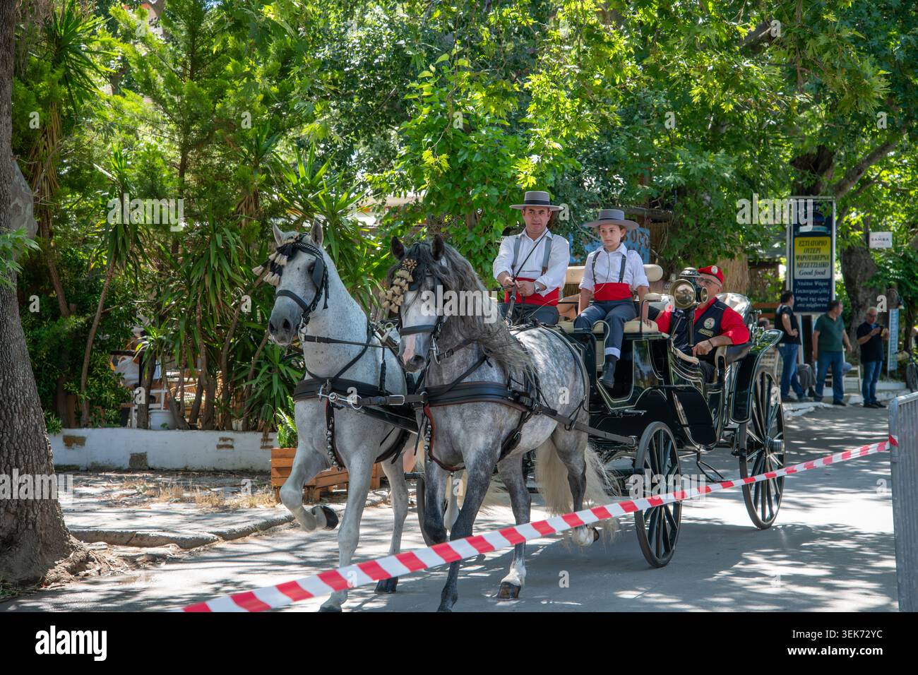 Une calèche ornée tirée par des chevaux de dapple gris descend une route ensoleillée. Chaque année dans la ville de Kala Nera, une tradition de bénédiction prend pl Banque D'Images