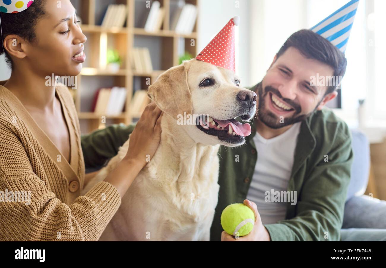 Heureux couple célèbrent l'anniversaire de chien à la maison avec des chapeaux et un jouet de balle de tennis Banque D'Images