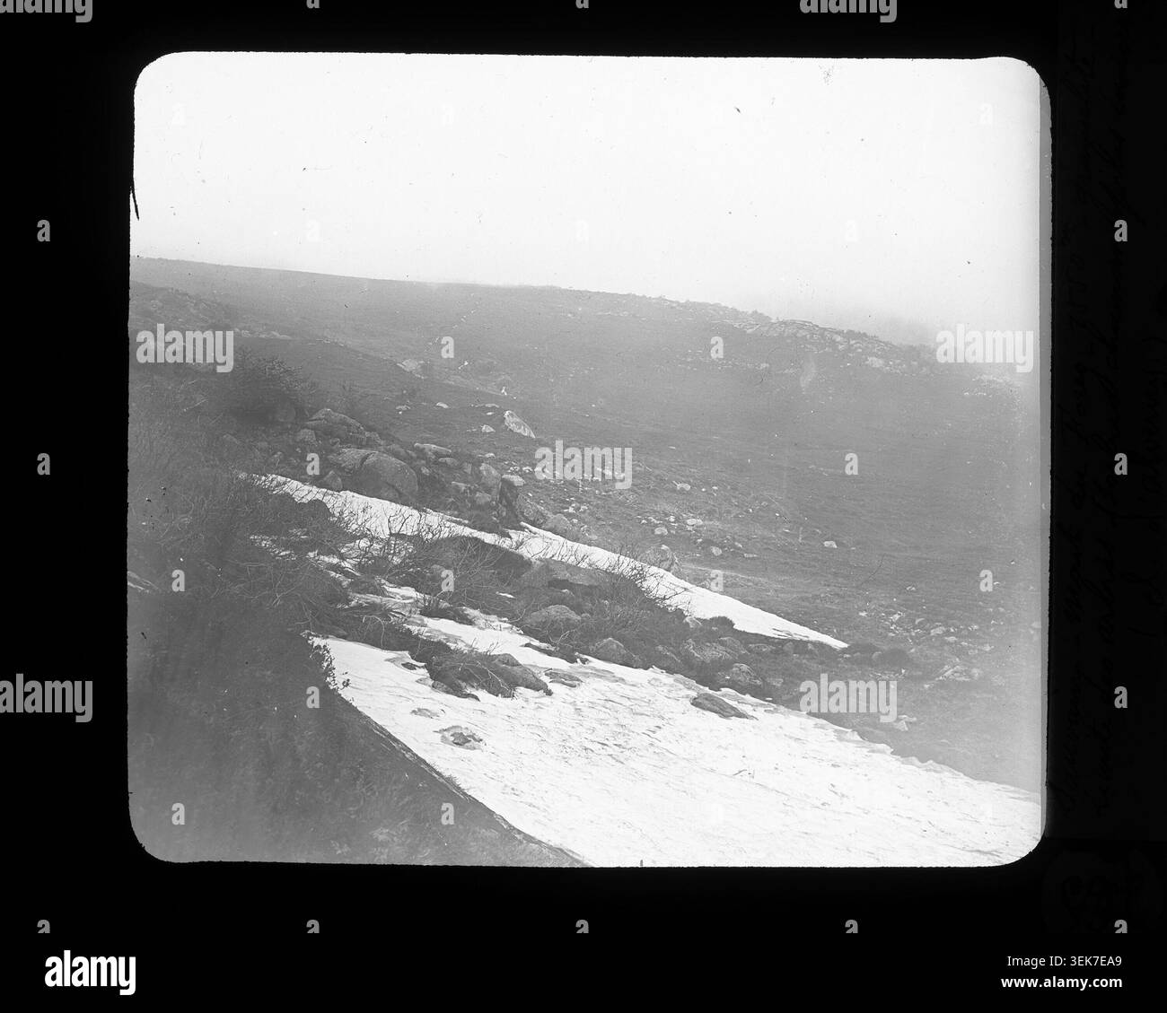 A Sauvain dans les Monts du Forez, un paysage de granulites à 1550 mètres marque la limite des arbres et les pâturages attenants. André d'Alverny a photographié l'environnement montagneux et les limites de la végétation. Banque D'Images