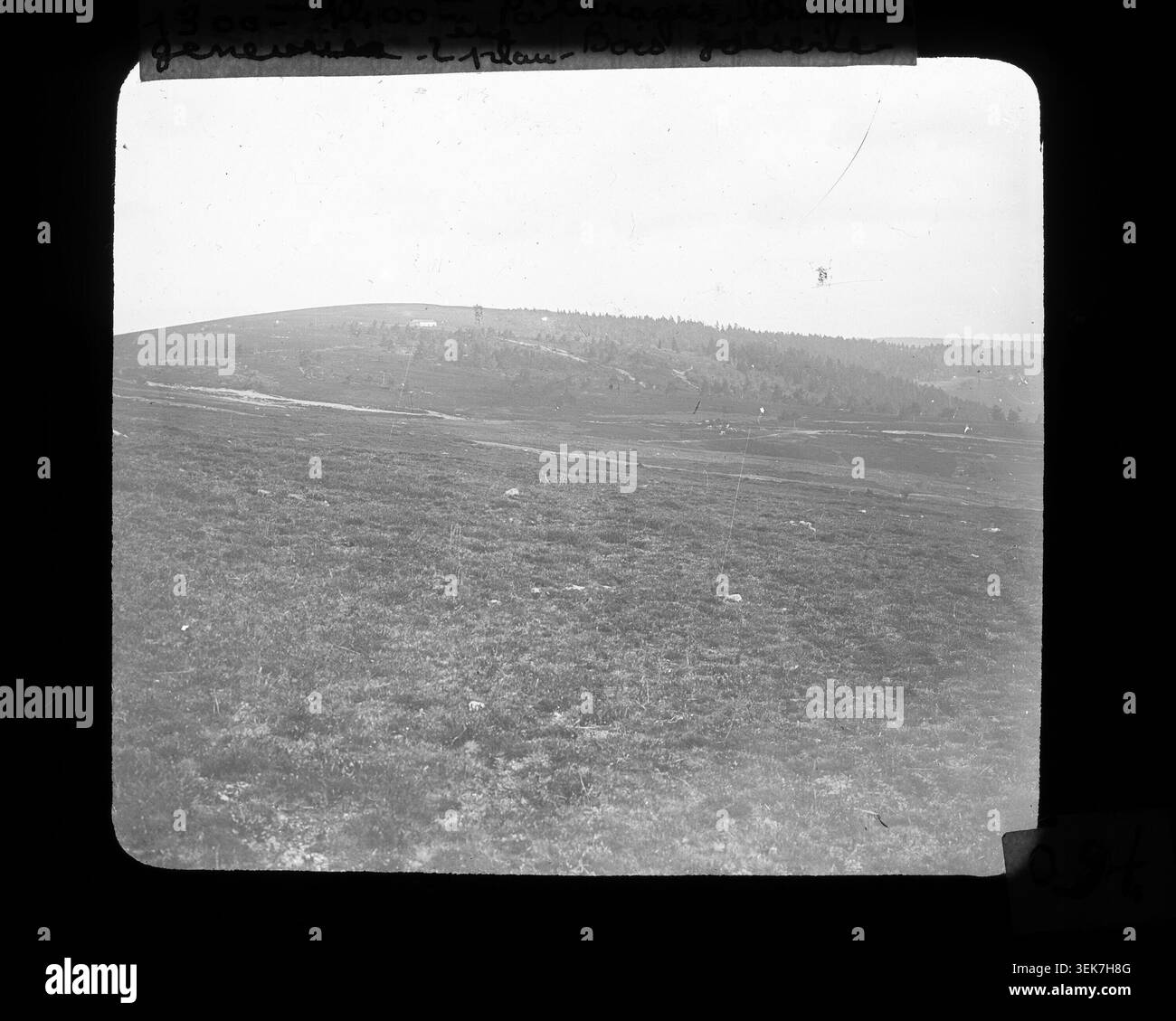 Chalmazel dans les monts du Forez est photographié par Alverny, André d' montrant des pâturages, bruyères et genévriers dans les Alpes-de-haute-Provence, France, date inconnue. Banque D'Images