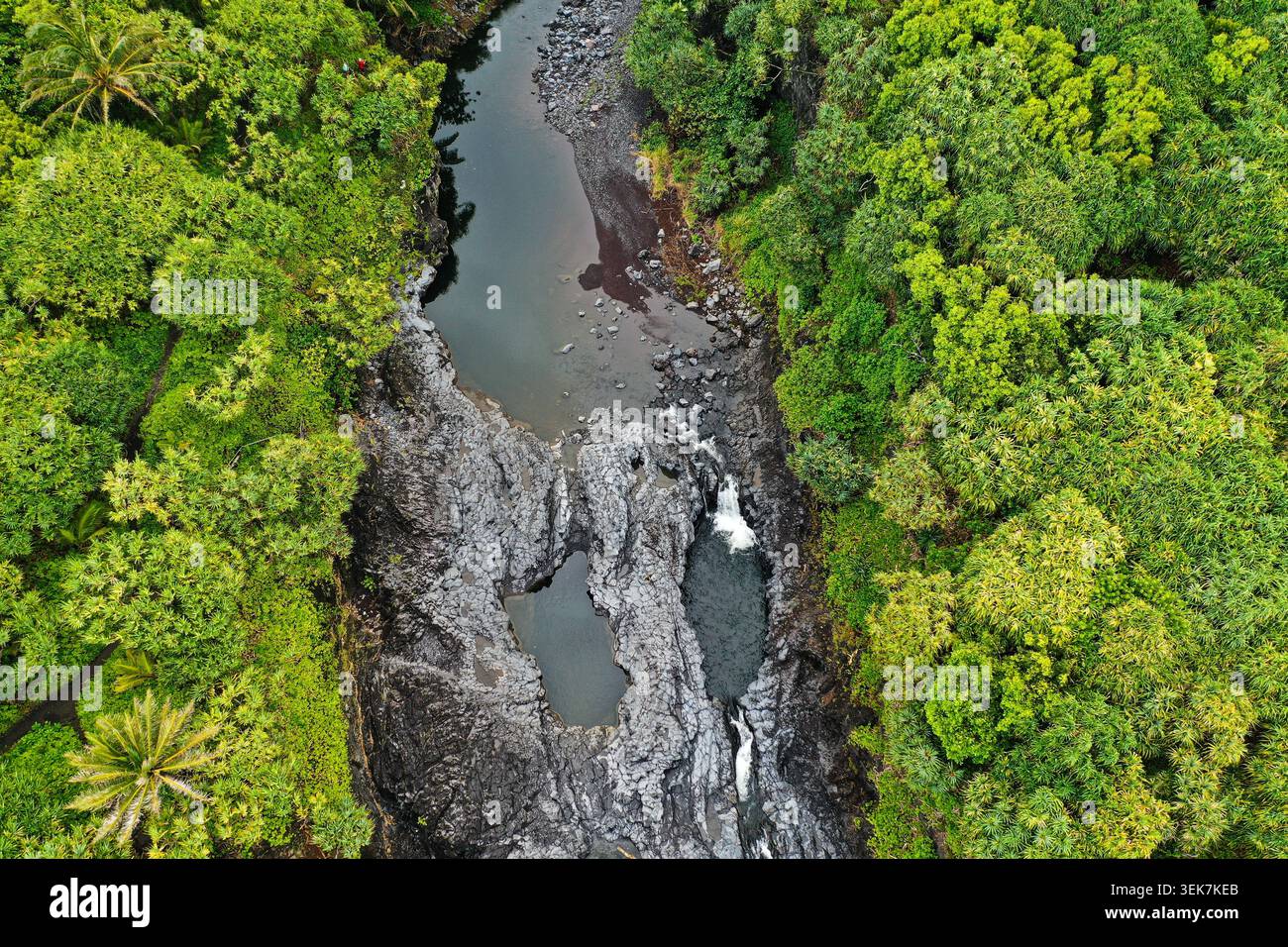 Une vue aérienne d'une forêt tropicale luxuriante entourant un ruisseau rocheux et de petites cascades à Maui, Hawaï. La verdure verdoyante est complétée par le Banque D'Images