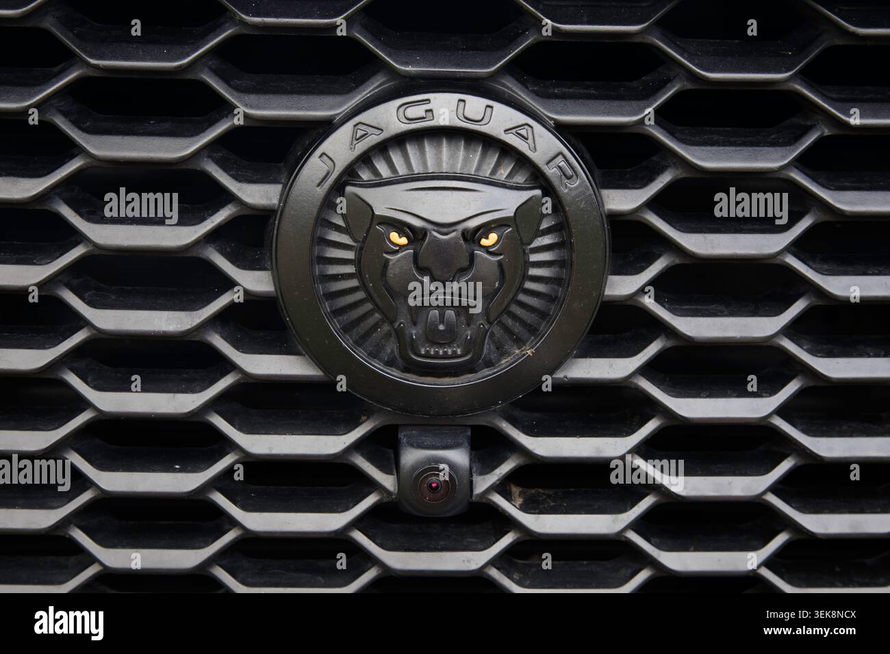Gros plan du logo Jaguar sur une voiture Banque D'Images