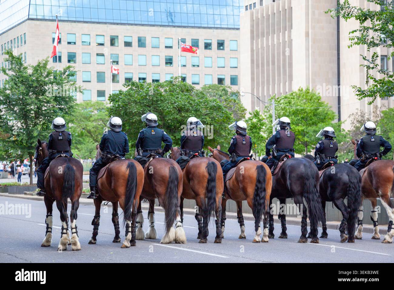 Vue arrière des policiers à cheval lors d'un événement au centre-ville de Toronto, Ontario, Canada. Banque D'Images