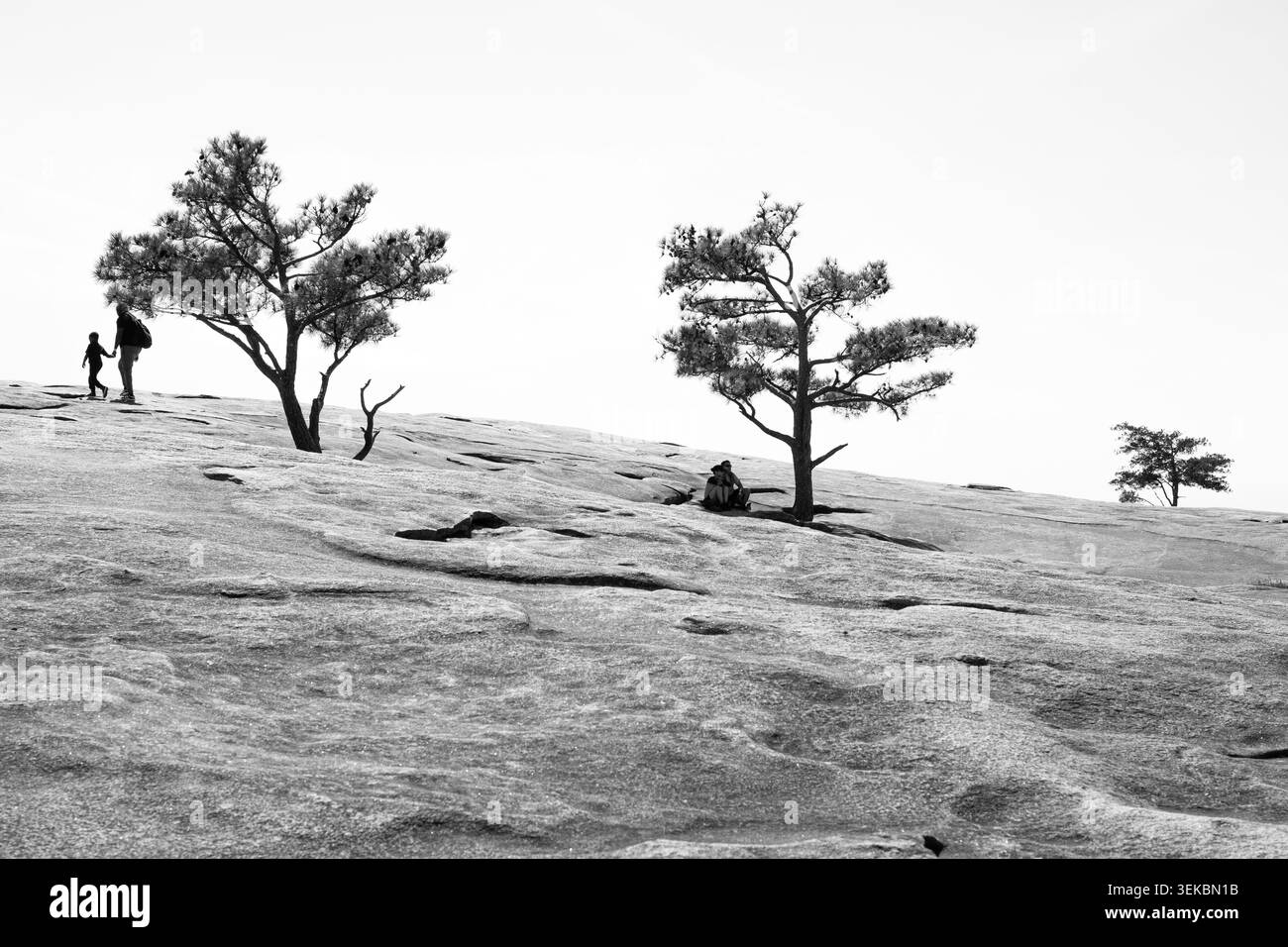 10 avril 2026, les visiteurs explorent les sentiers et attractions pittoresques du parc Stone Mountain, Géorgie, États-Unis. Banque D'Images