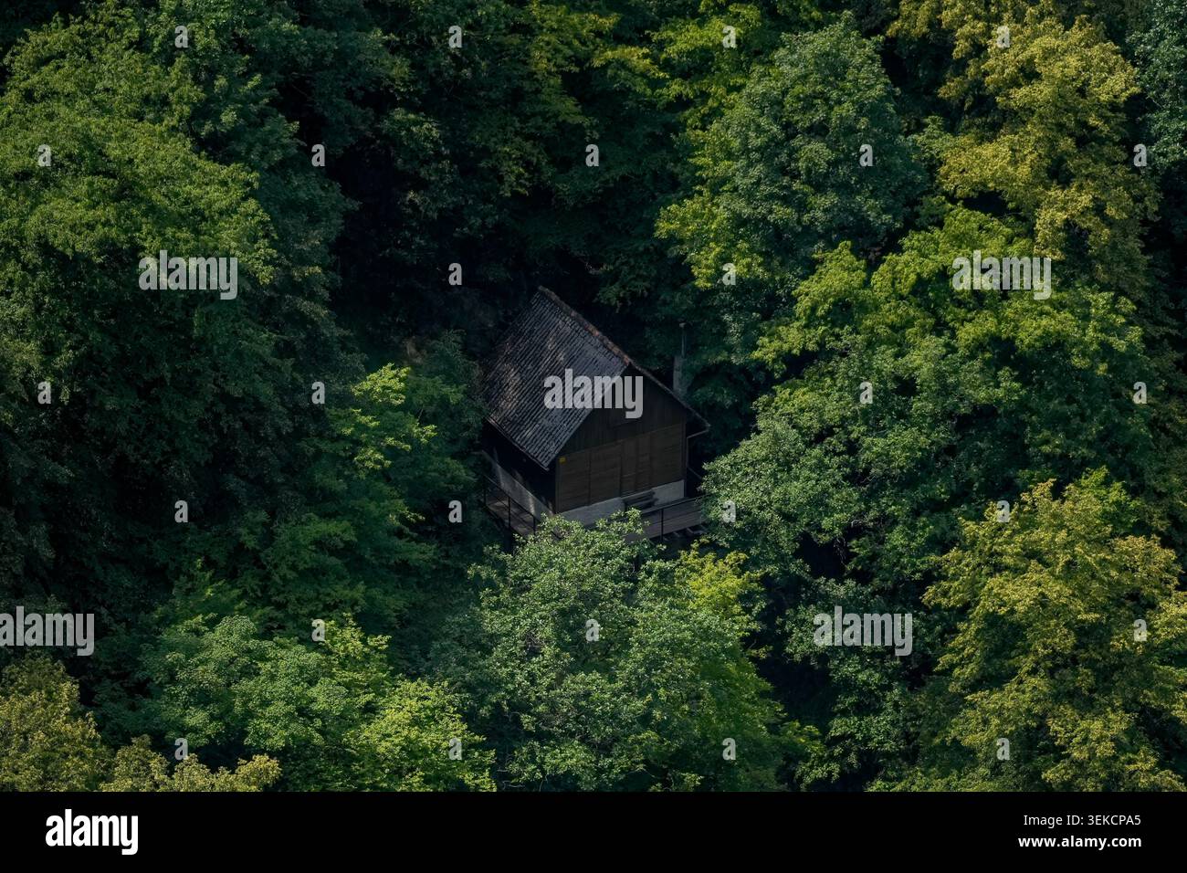 Petite cabane rustique entourée d'une canopée épaisse, représentant l'intimité, la retraite dans les bois, l'évasion dans la nature et la vie éloignée. Banque D'Images