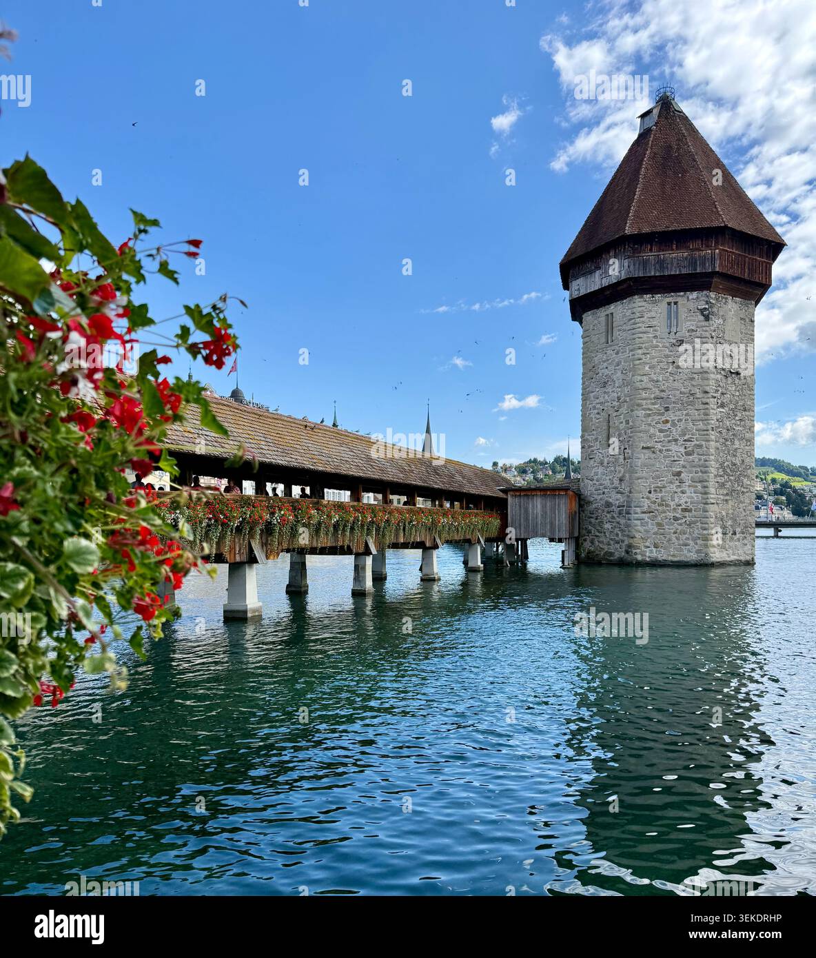 Pont de la chapelle de Lucerne et Château d'eau avec fleurs rouges Suisse - Image de stock capturée avec un smartphone