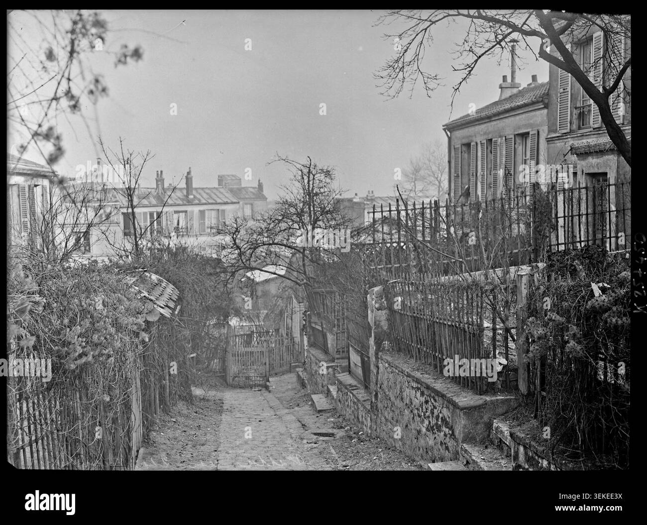 Maisons et jardins appartenant à une villa du 24 rue Norvins dans le quartier de Montmartre à Paris sont enregistrés en 1905. L'Agence Rol a photographié la propriété et ses environs dans le cadre d'une enquête de presse sur le paysage urbain de la région. Banque D'Images