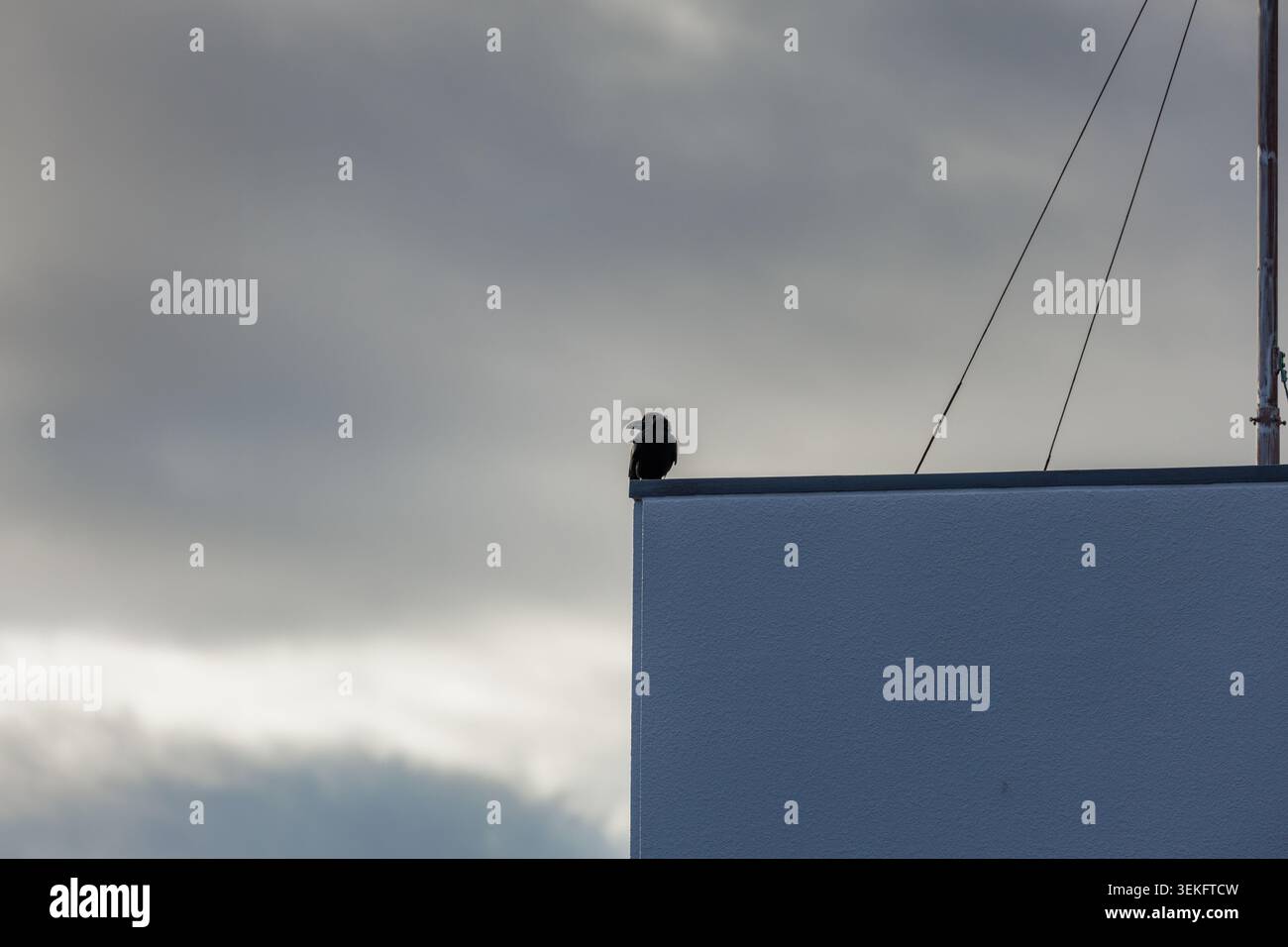 Corbeau solitaire perché sur le bord d'un toit contre un ciel matinal couvert dramatique, observant la lumière et l'ombre changeantes transformer la scène urbaine tranquille. Banque D'Images