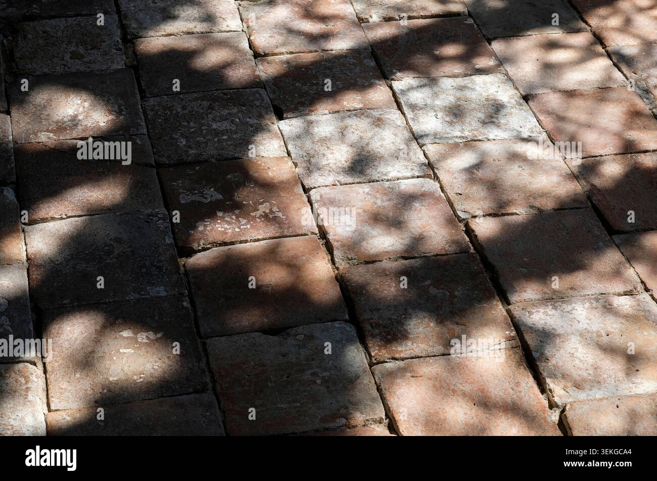 ombre de fenêtre sur le sol de pantile à l'intérieur de l'église, norfolk, angleterre Banque D'Images
